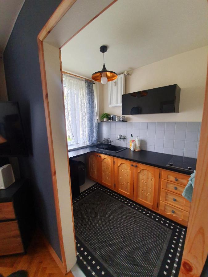Apartament Izba W Centrum Закопане Екстериор снимка