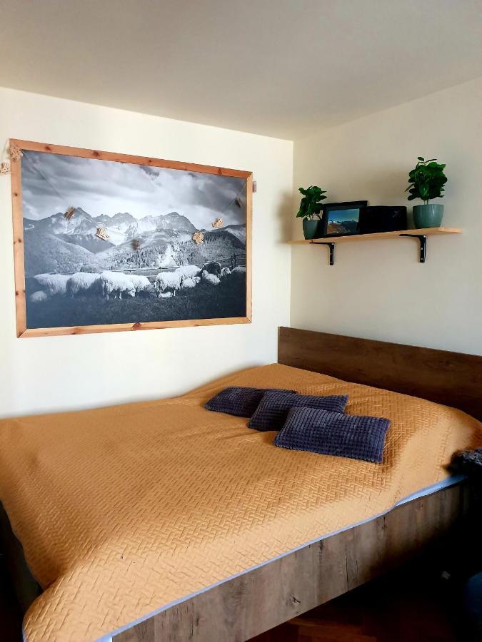 Apartament Izba W Centrum Закопане Екстериор снимка